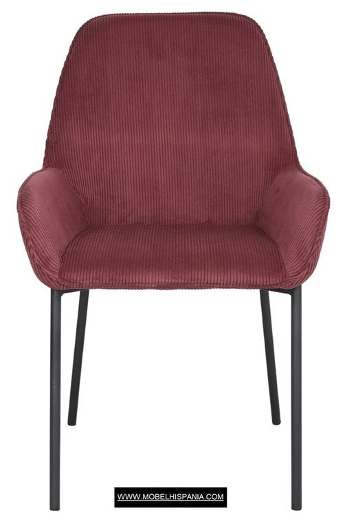 ABISI berenjena 1 04 2