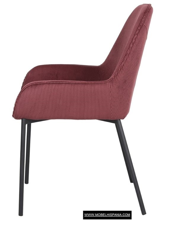 ABISI berenjena 1 05 2