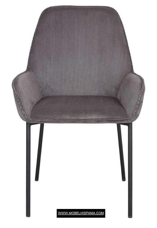 ABISI berenjena 1 06 2