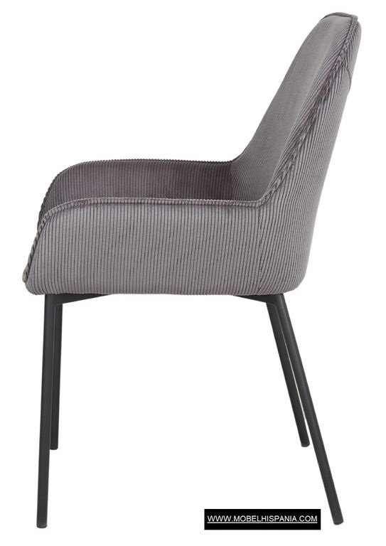 ABISI berenjena 1 07 2