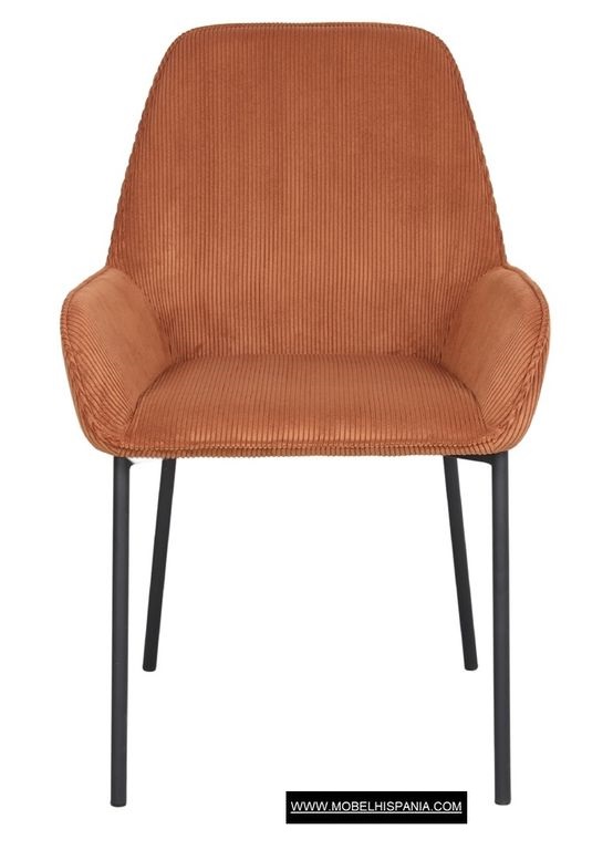 ABISI berenjena 1 08 2