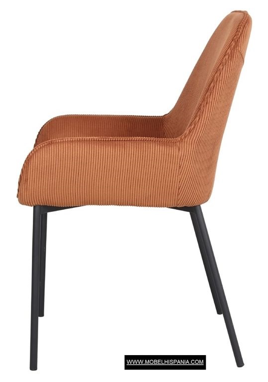 ABISI berenjena 1 09 2