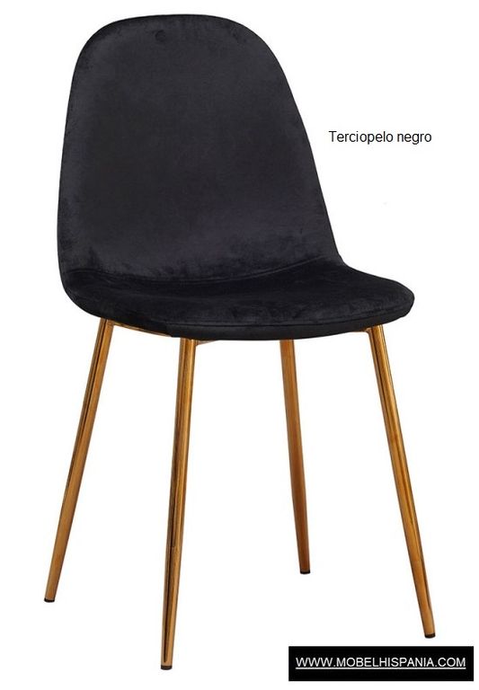 Golden Leo Terciopelo w 01 1