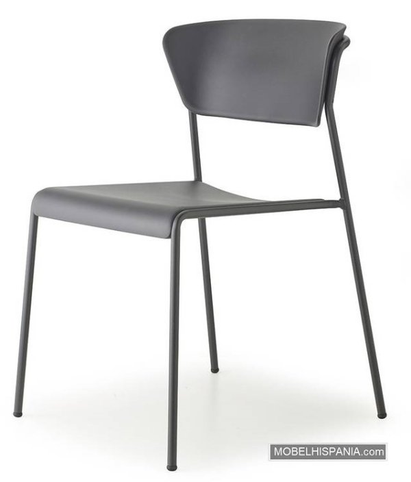 2865 silla antrocita