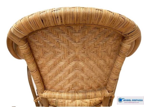 NEVADA sillon medula2