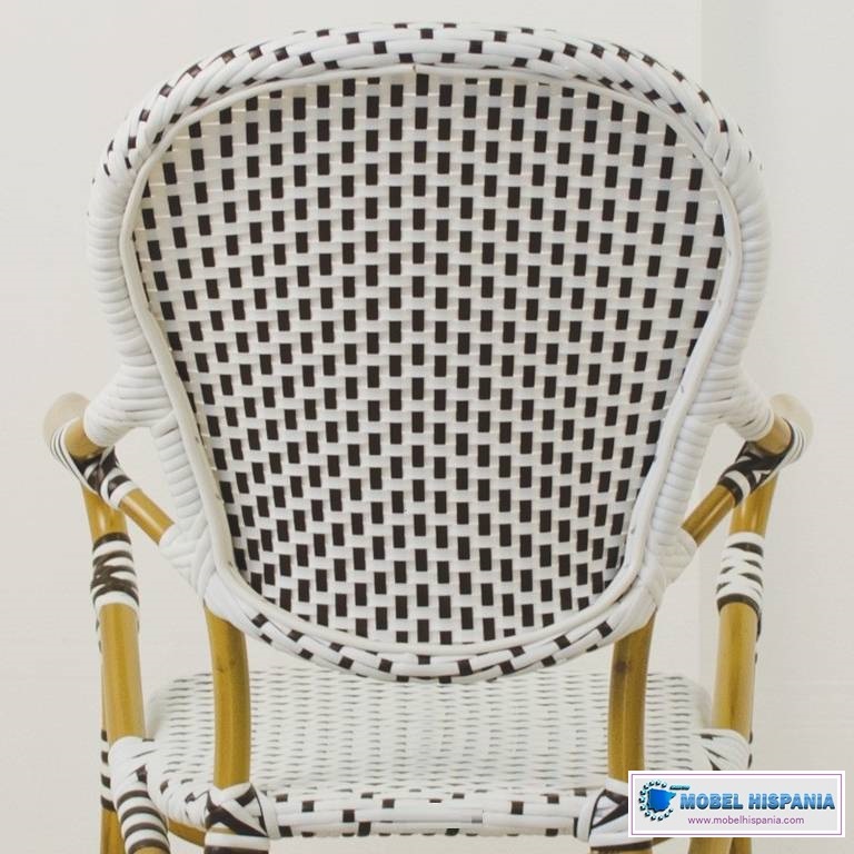 amelia-sillon5 amelia sillon5