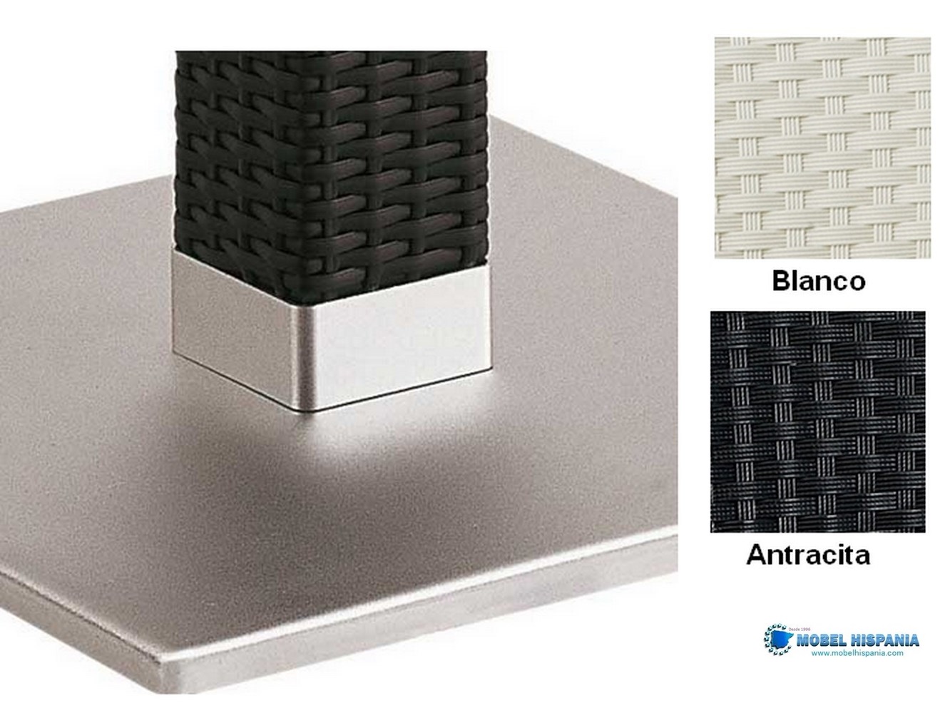 9811 pies doble medula2 4