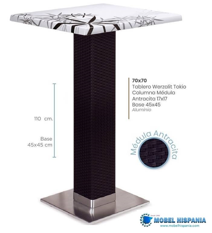 9188 mesa alta medula werzalit1