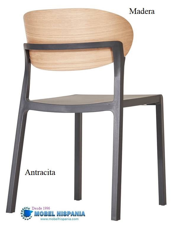 BAKED wood anthracite.1