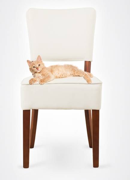 GRETA-silla-tapizada-6 GRETA silla tapizada 6