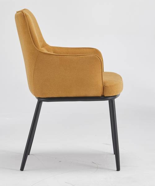 angela sillon mostaza 1