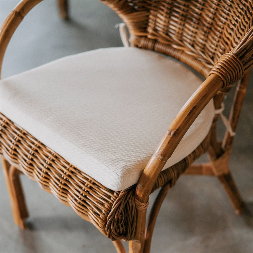 PETRAS-Sillon-medula-4 PETRAS Sillon medula 4