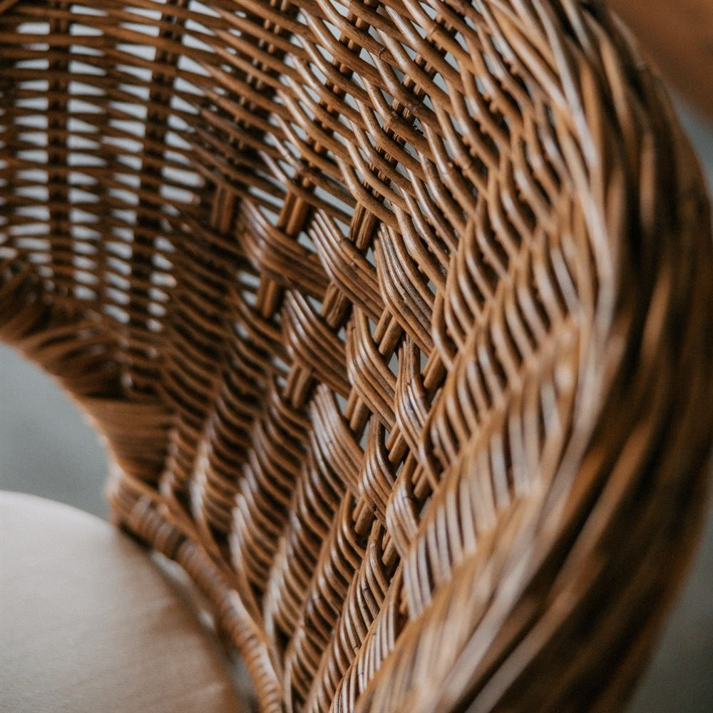 PETRAS-Sillon-medula-5 PETRAS Sillon medula 5