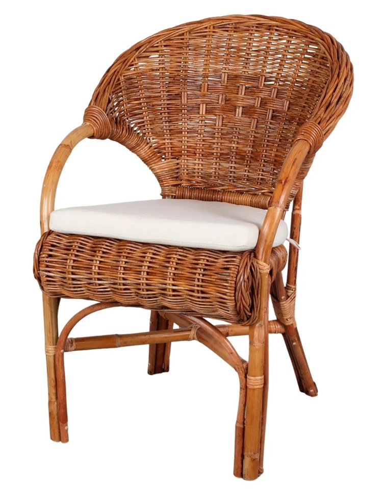 PETRAS-Sillon-medula PETRAS Sillon medula