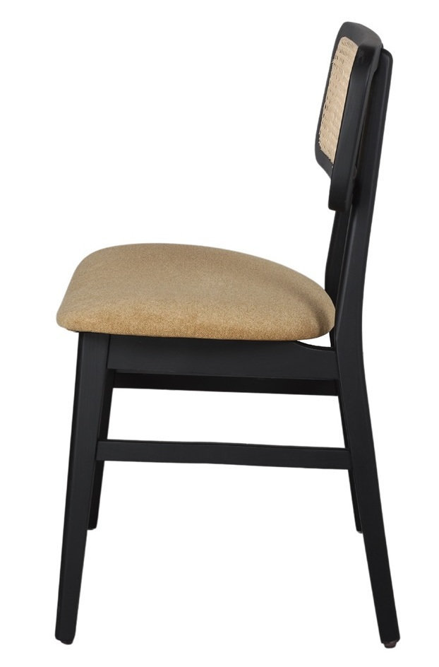 BLASAKO silla tapida curry 1