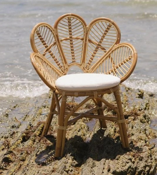 DAUN-silla-medula-5 DAUN silla medula 5