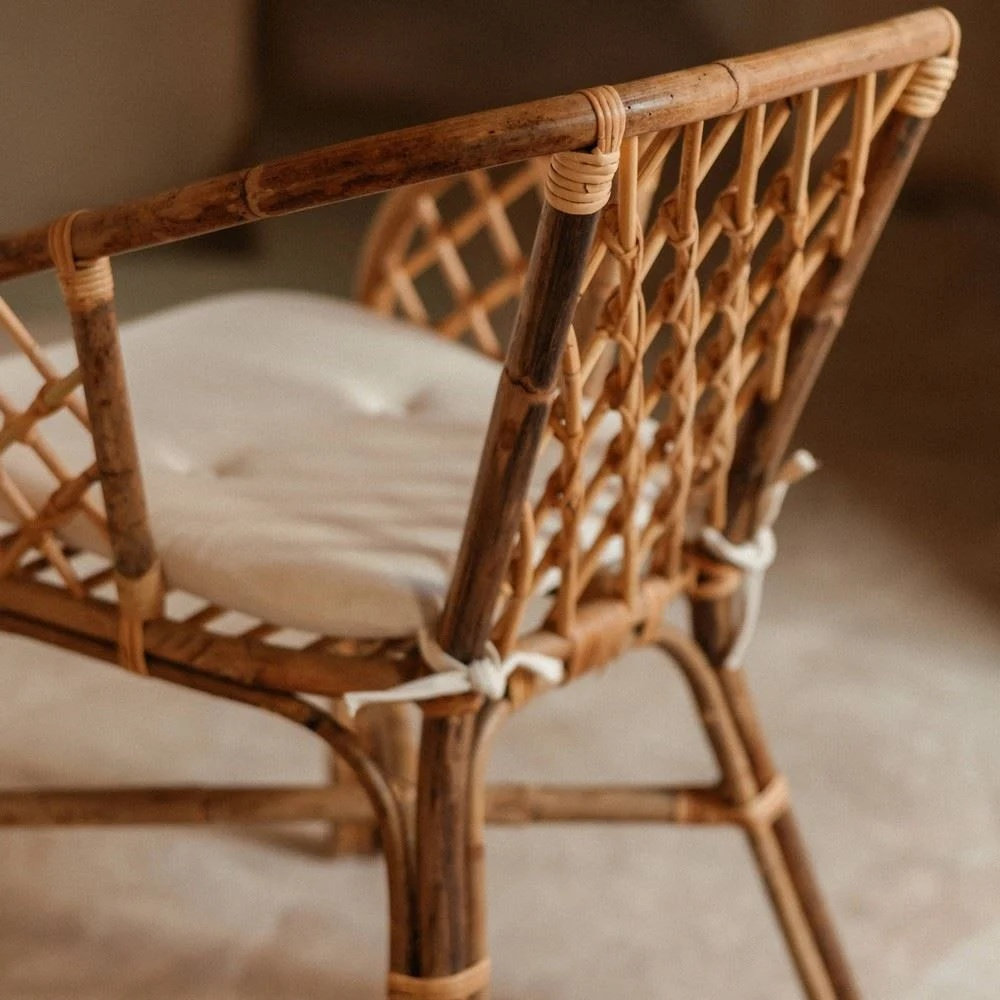 SIKORI-silla-medula-5 SIKORI silla medula 5